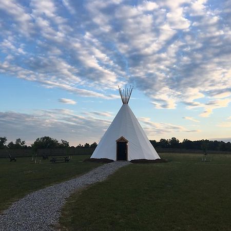 Dreamcatcher Glamping Tipi Hotell Farmville Exteriör bild